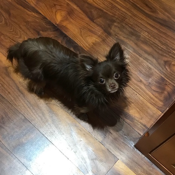 Like this photo to save my closet! 💞 - Picture 3 of 3